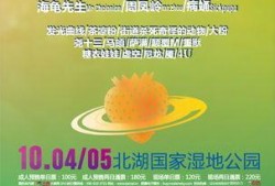 长春音乐节爆料最新消息,巨星阵容揭晓，狂欢盛宴即将开启！