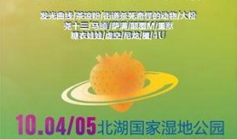 长春音乐节爆料最新消息,巨星阵容揭晓，狂欢盛宴即将开启！