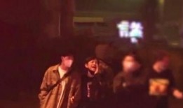 金武林最新爆料视频大全,揭秘娱乐圈不为人知的秘密