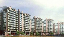 楼市爆料西安最新消息新闻,揭秘房价走势与政策调整