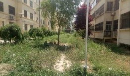 绿洲小区爆料事件最新,揭秘背后真相与争议焦点